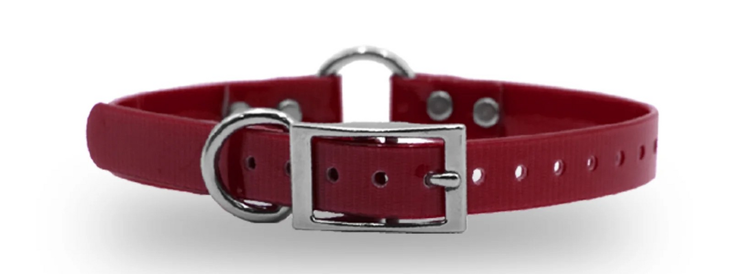 3/4" DayGlo Ring-N-Center Collar