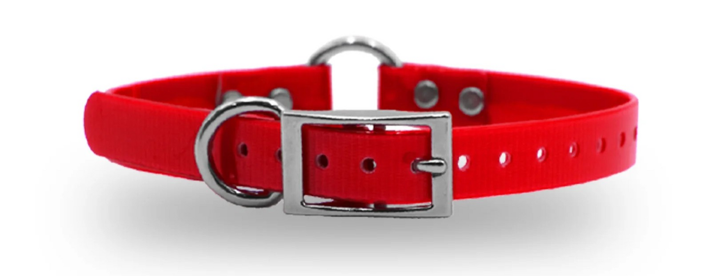 3/4" DayGlo Ring-N-Center Collar