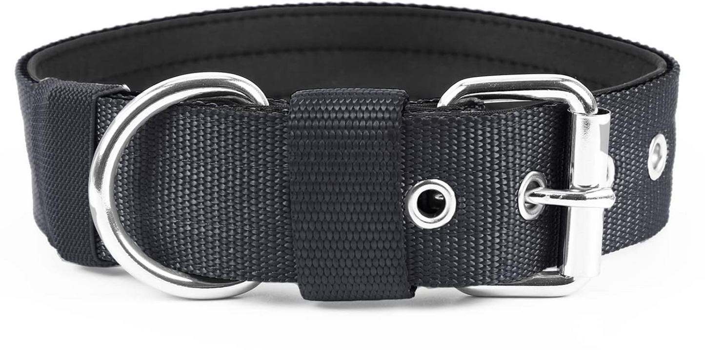 Scott Nylon 1x16" Dog Collar