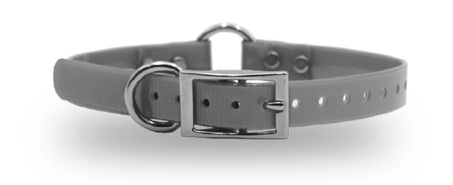 3/4" DayGlo Ring-N-Center Collar
