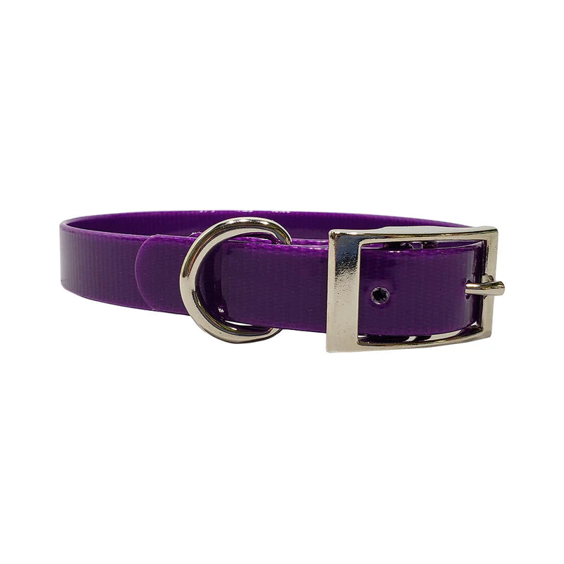 3/4" DayGlo Garmin Collar