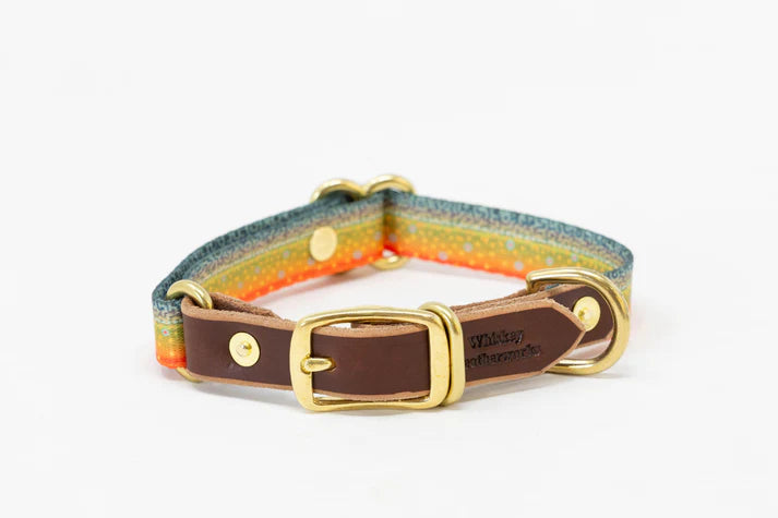 Whiskey Leatherworks Adjustable Dog Collars