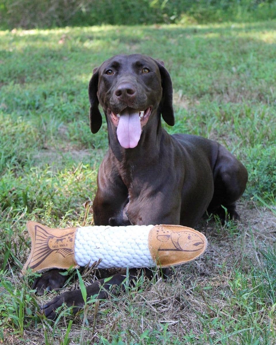 Natural Leather Trout Rope Tug Dog Toy - 15"