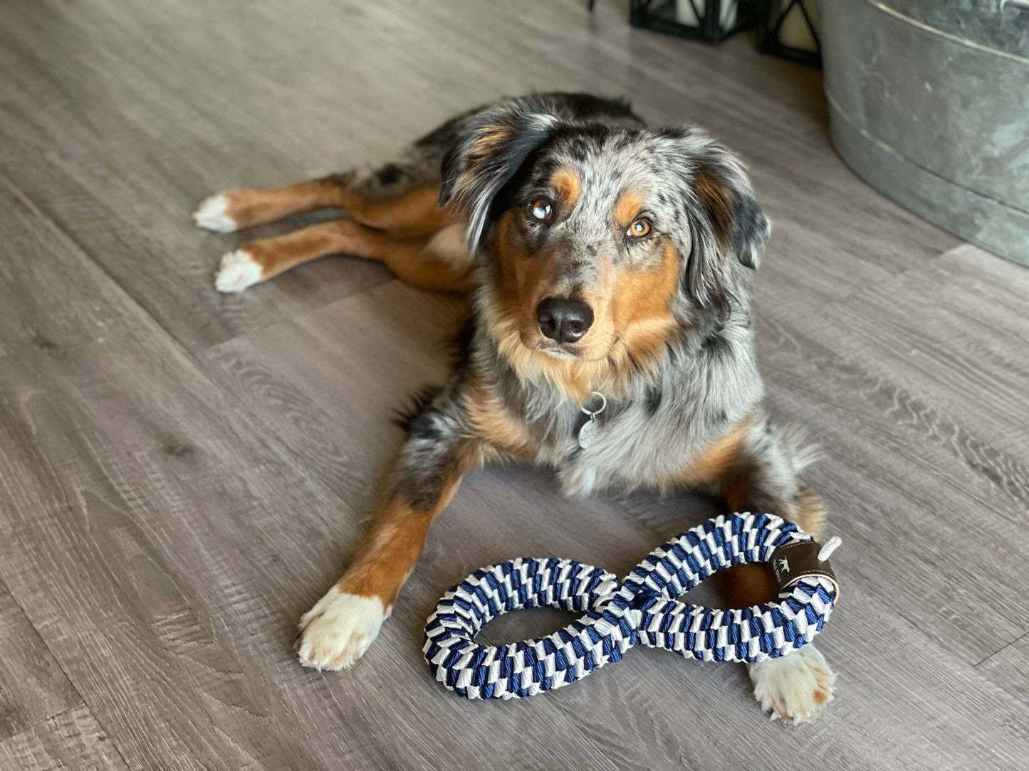 Tall Tails Navy Braided Infinity Dog Tug Toy
