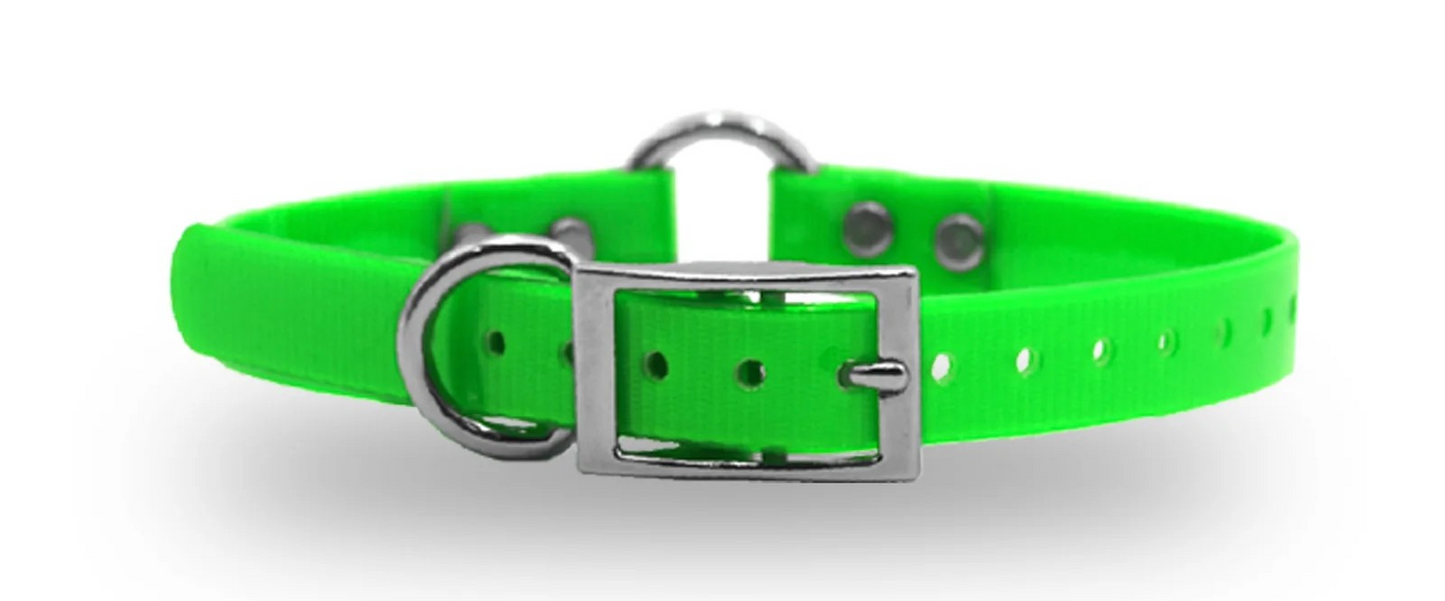 3/4" DayGlo Ring-N-Center Collar