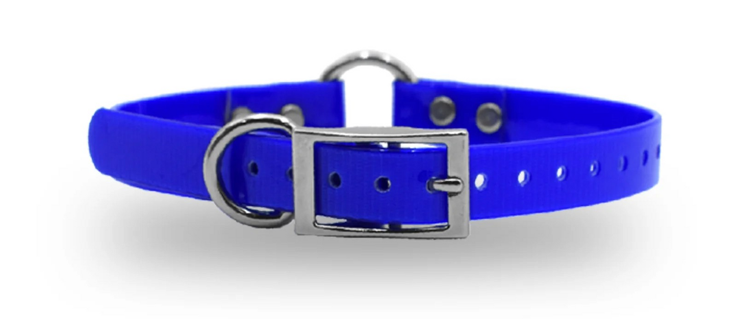 3/4" DayGlo Ring-N-Center & D-N-Front Collar