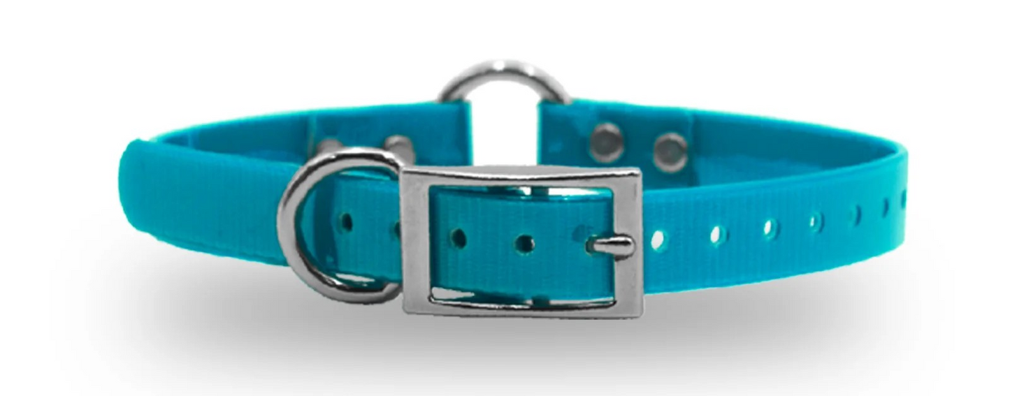 3/4" DayGlo Ring-N-Center & D-N-Front Collar