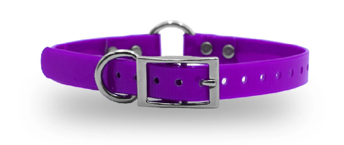 3/4" DayGlo Ring-N-Center Collar