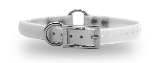 3/4" DayGlo Ring-N-Center Collar