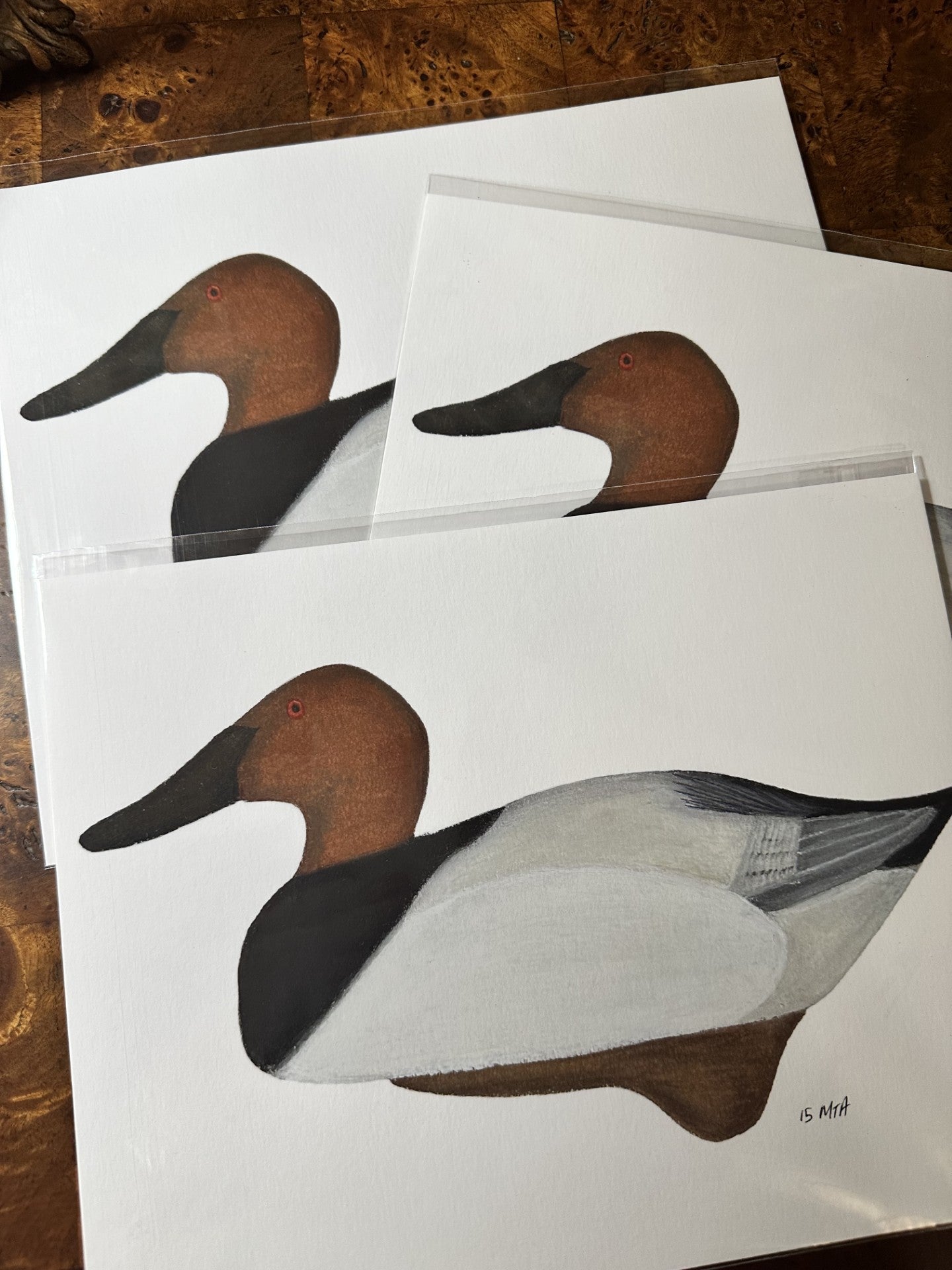 Flatland Design Duck Prints