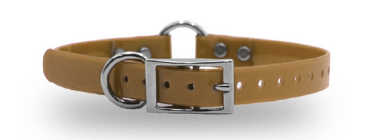 3/4" DayGlo Ring-N-Center & D-N-Front Collar