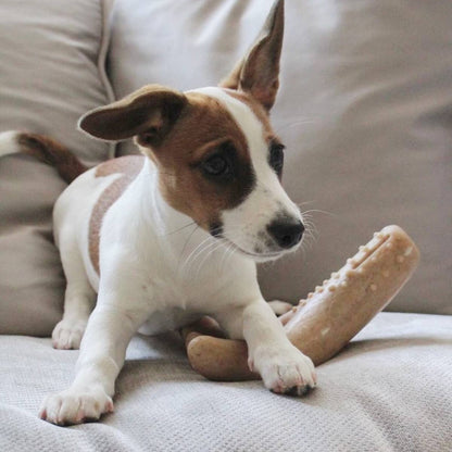Bacon-Scented Antler Chew Dog Toy - Large