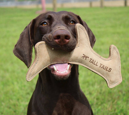 Tall Tails Natural Leather Antler Dog Toy - 11"