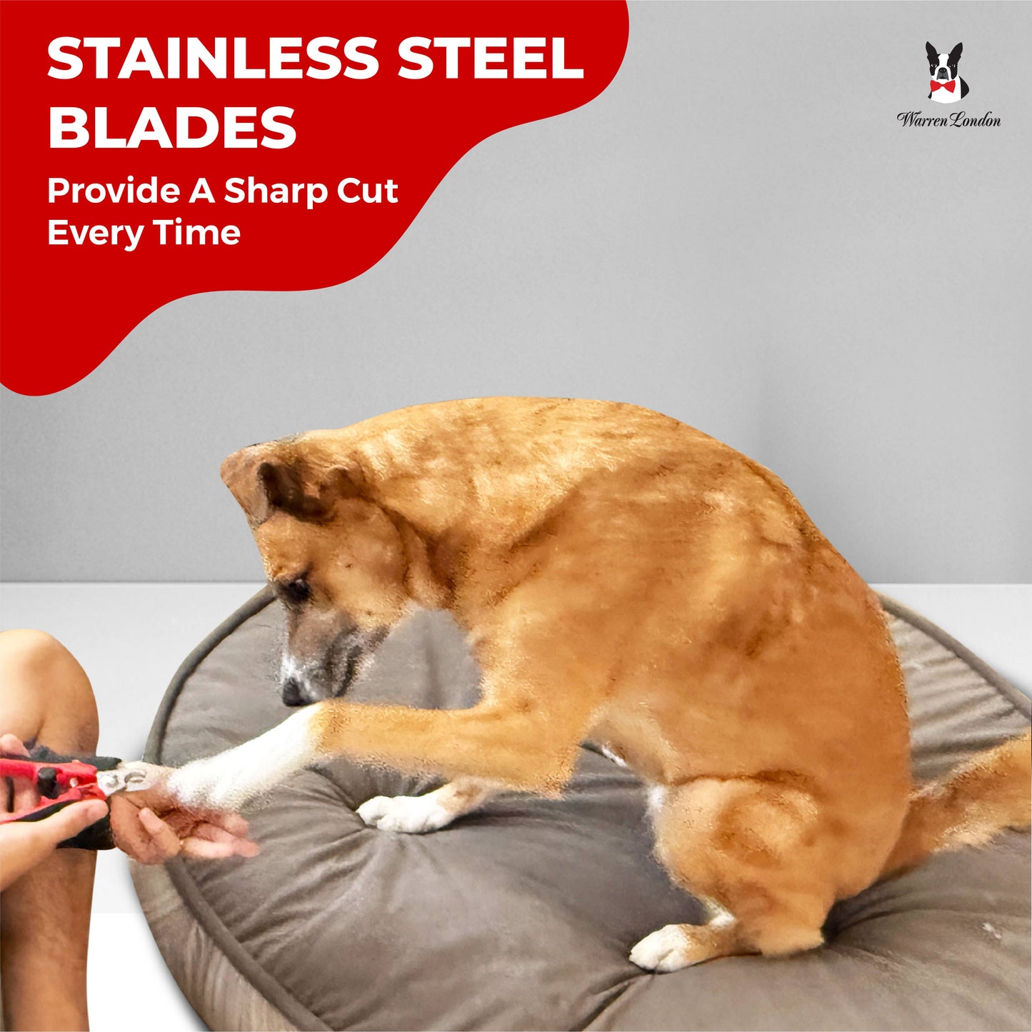 Warren London Dog Nail Clippers – For All Dog Sizes