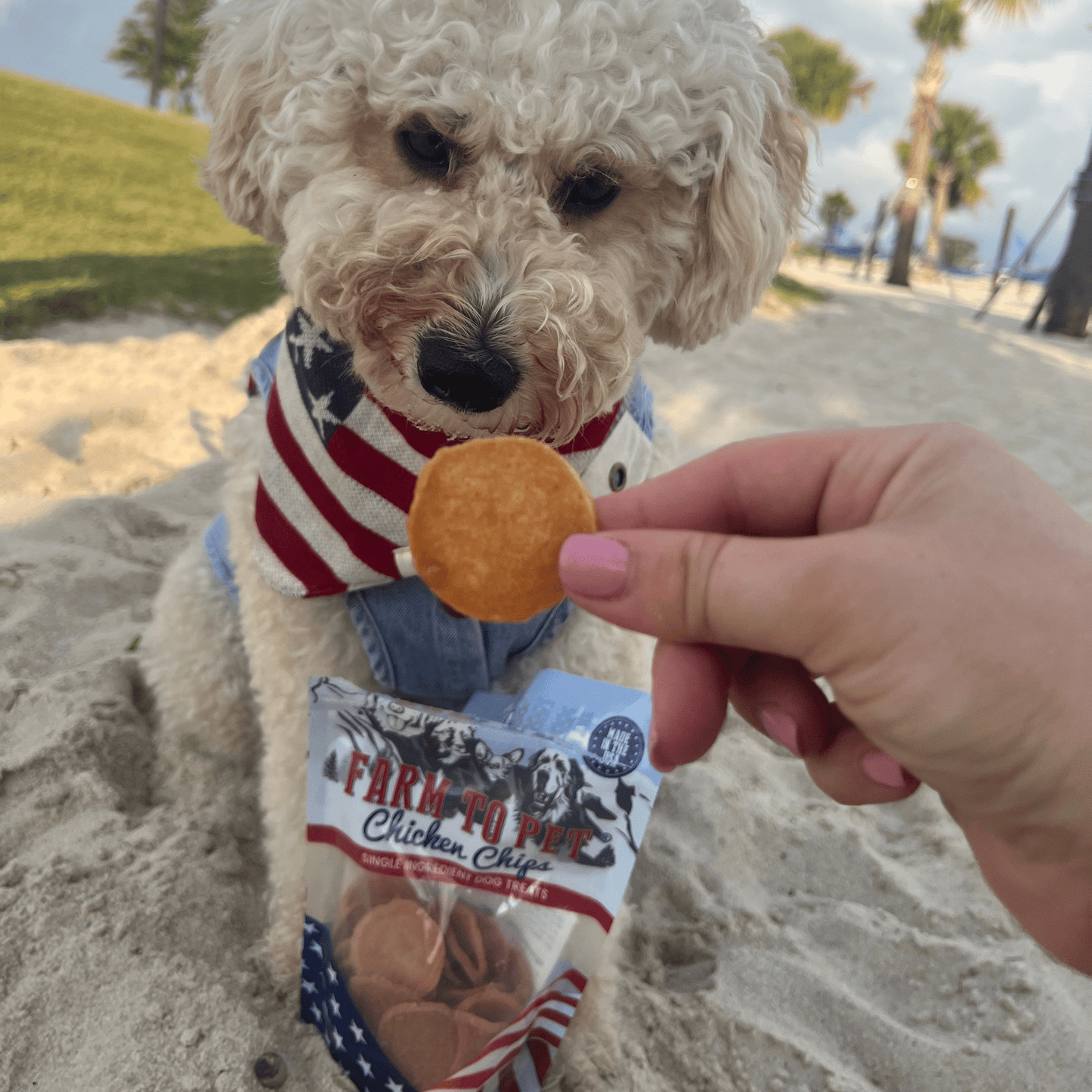 Americana Chicken Chips Dog Treats
