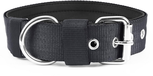 Scott Nylon 3/4x12"  Ring in Center Dog Collar