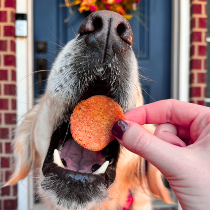 Turkey Feast Dog Treats (12 oz)