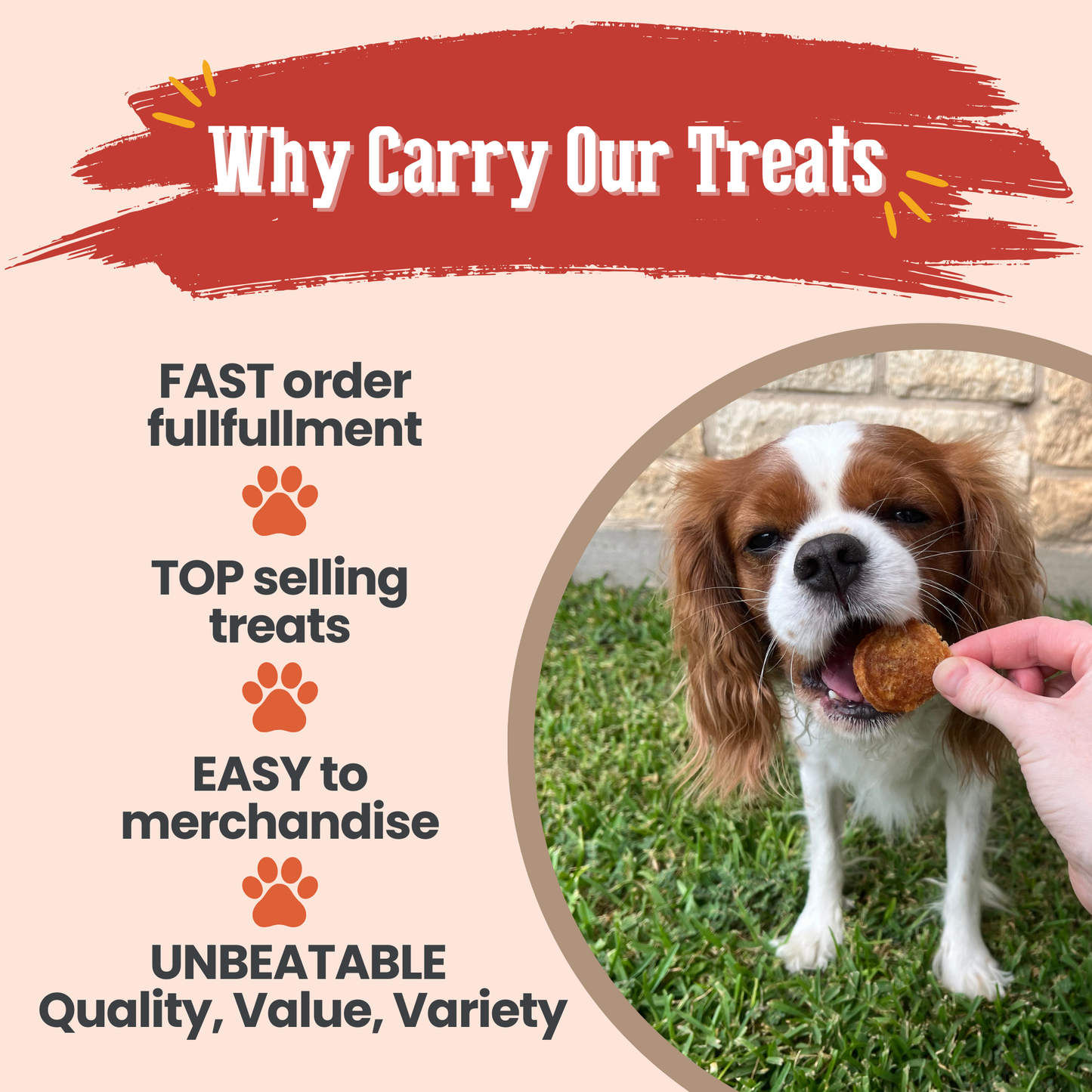 Turkey Feast Dog Treats (12 oz)