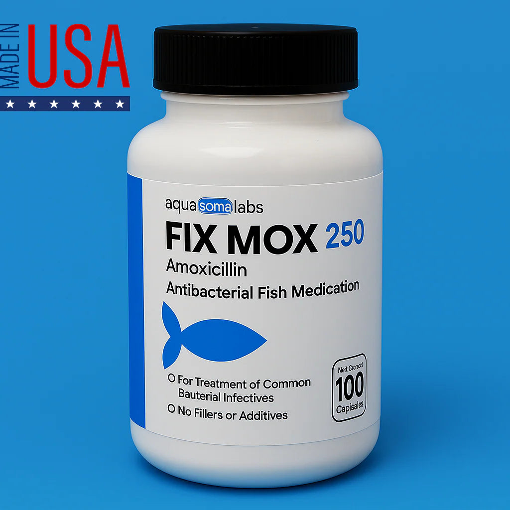 Fish Mox