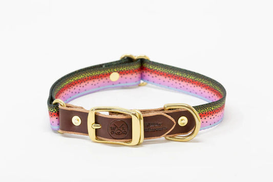 Whiskey Leatherworks Adjustable Dog Collars
