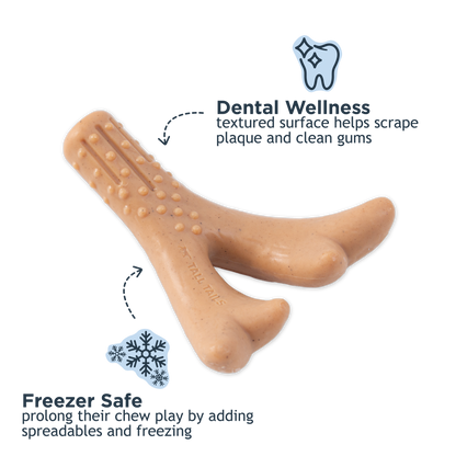 Peanut Butter-Scented Antler Chew Dog Toy - Medium