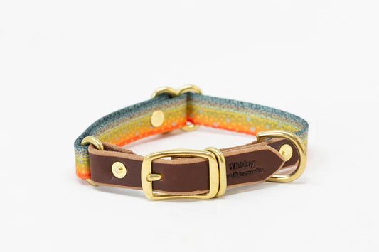 Whiskey Leatherworks Adjustable Dog Collars