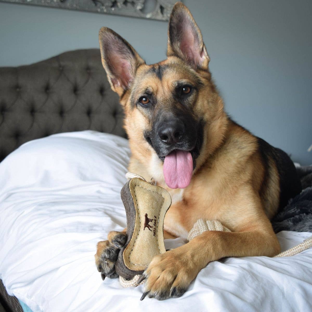 Tall Tails Natural Leather & Wool Bone Tug Toy - 16"