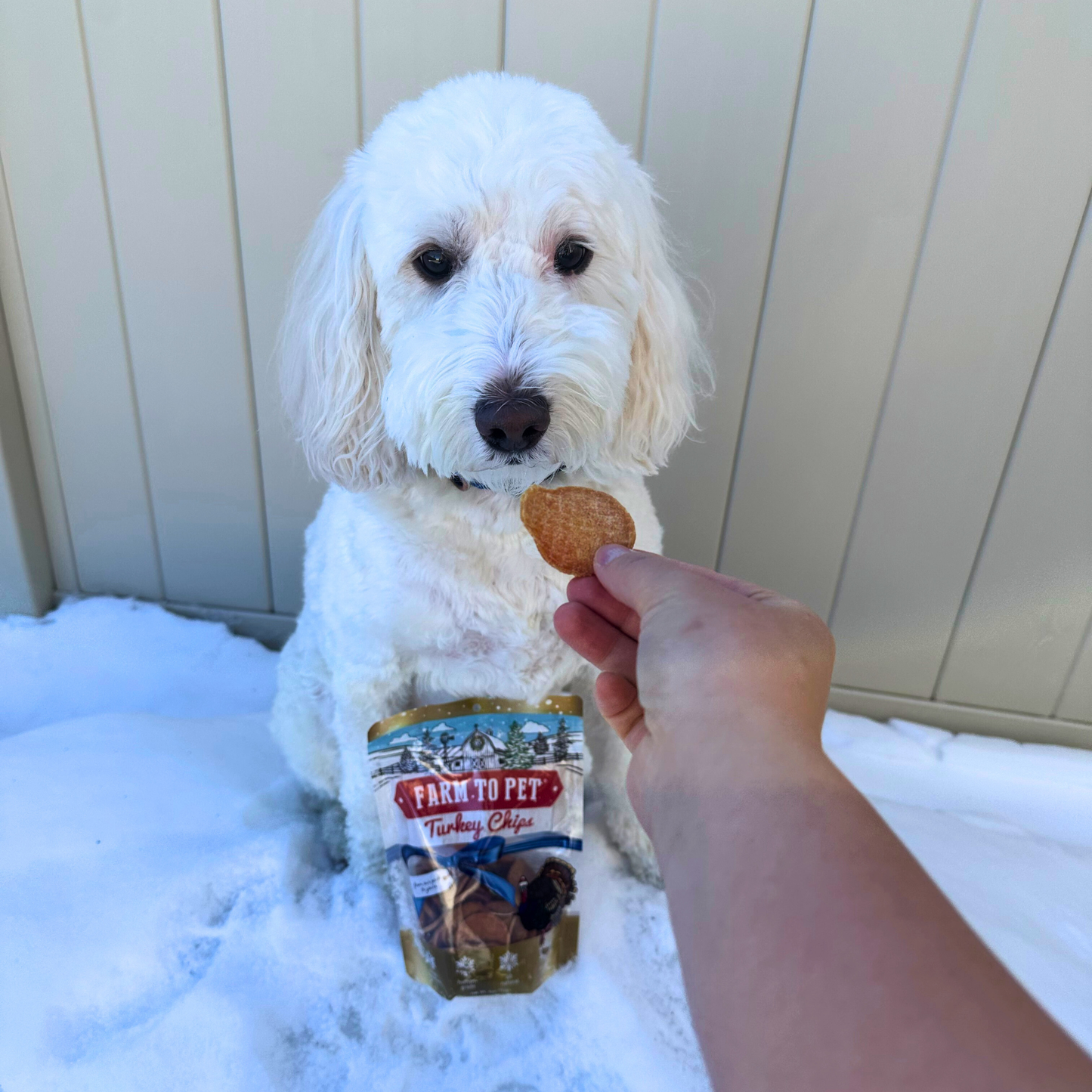 Holiday Turkey Chips Dog Treats (4 oz)