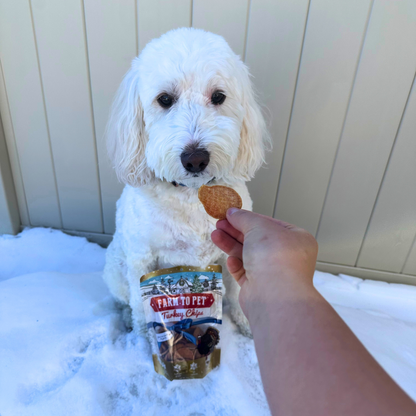 Holiday Turkey Chips Dog Treats (4 oz)