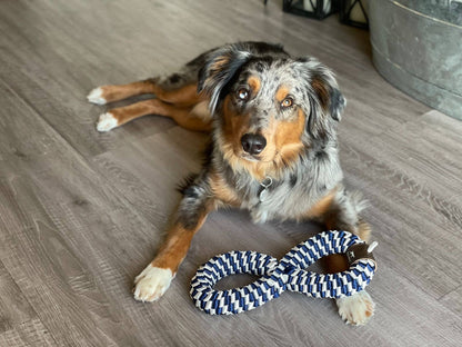 Tall Tails Navy Braided Infinity Dog Tug Toy