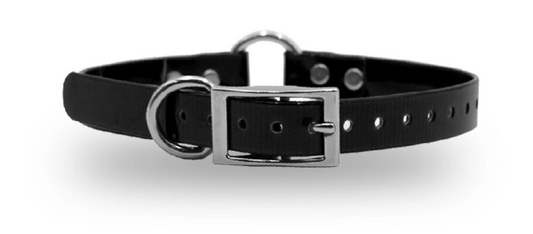 3/4" DayGlo Ring-N-Center & D-N-Front Collar
