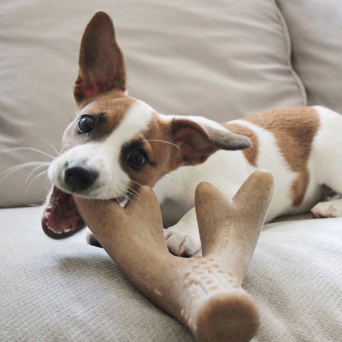 Bacon-Scented Antler Chew Dog Toy - Large