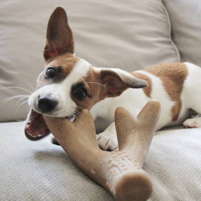 Bacon-Scented Antler Chew Dog Toy - Large